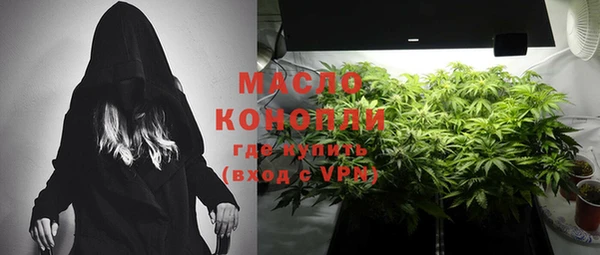 шишки Лабытнанги