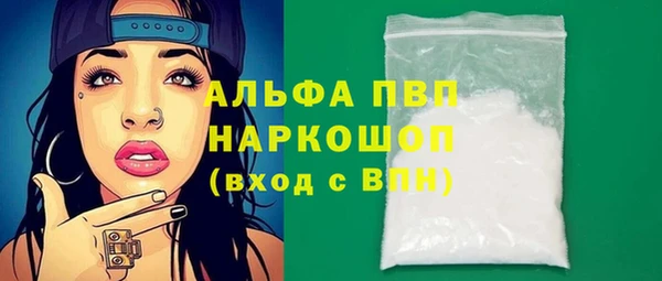 шишки Лабытнанги