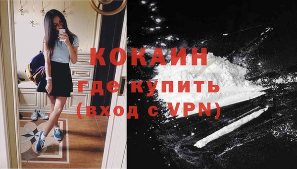 шишки Лабытнанги