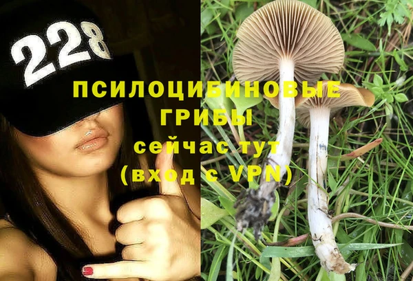 кокаин колумбия Ладушкин