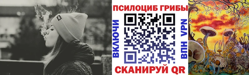 Псилоцибиновые грибы мицелий  Купить где  Белый 